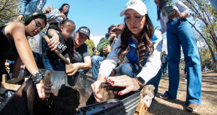 Cuidan el medio ambiente y plantan árboles en la capital