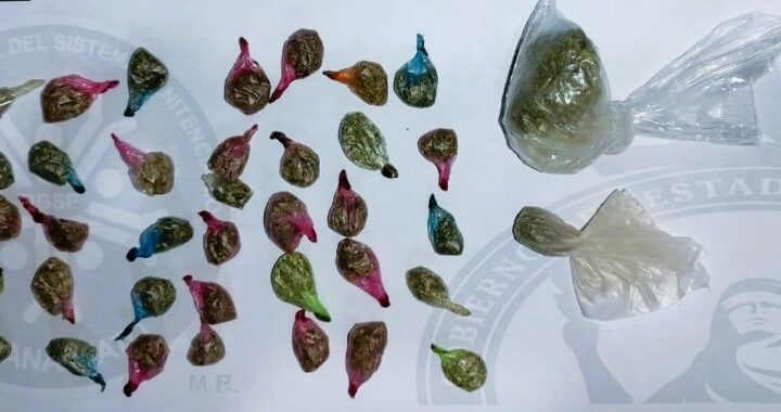 Evita Sistema Penitenciario introducción de droga a Cepreresos con apoyo de Unidad K9