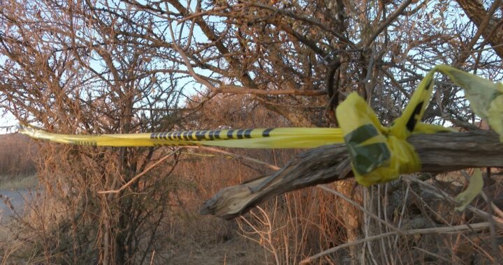 En Guanajuato ha habido casos de aborto simultáneo al delito de feminicidio: Tinajero