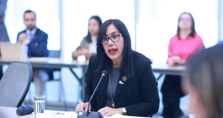 Propone Susana Bermúdez sancionar a quienes soliciten remoción de presidencias sin sustento