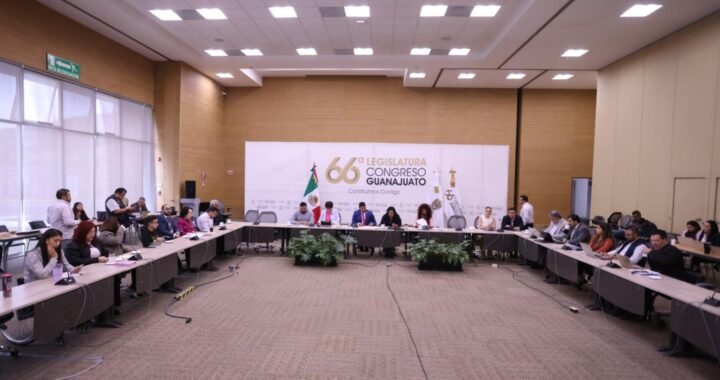 Arremeten personas con discapacidad contra iniciativa de Morena, sobre animales guía