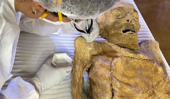AVANZA LA TERCERA Y ÚLTIMA FASE DE CAMPO DEL PROYECTO DE ESTUDIO DEL INAH SOBRE LAS ‘MOMIAS DE GUANAJUATO’