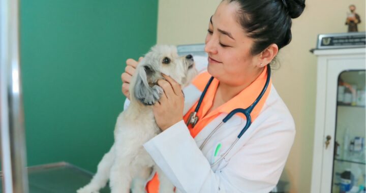 Egresada UG impulsa la protección y bienestar animal en Silao