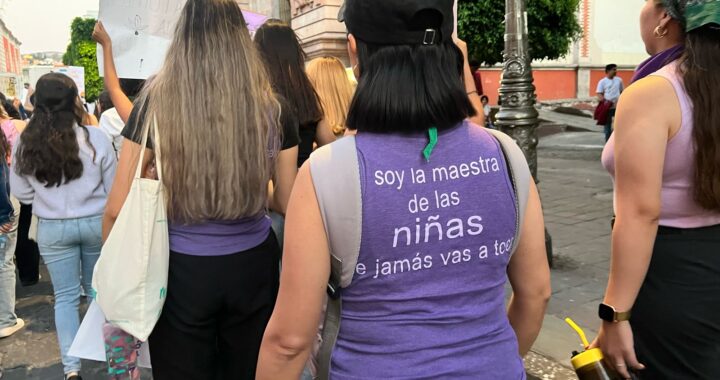 Detectan 351 tipos&nbsp; de violencias diferentes en Guanajuato