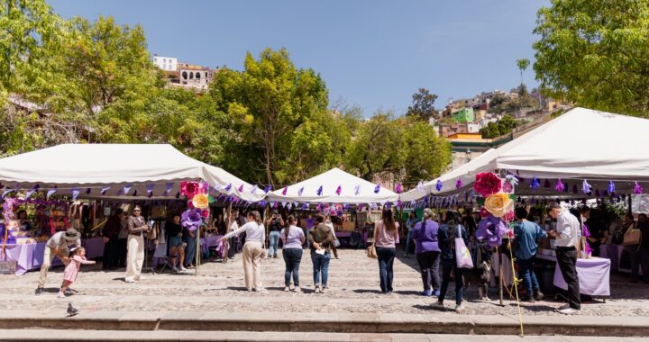 Regresa el Bazar Violeta a Guanajuato Capital