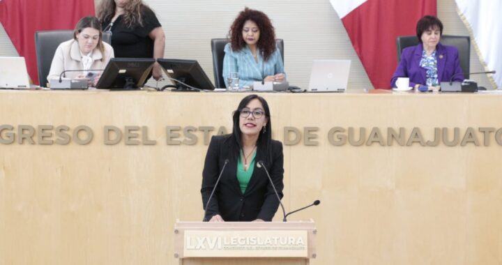 Pide diputada al INE garantizar perfiles adecuados para cargos judiciales