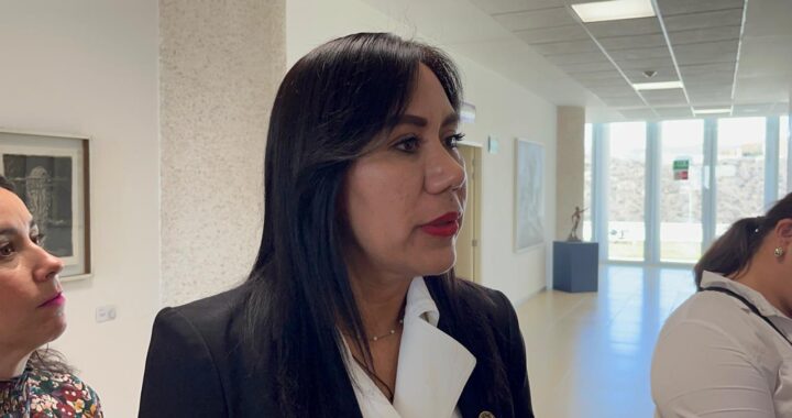 Perfiles partidistas podrán contender por cargos judiciales estatales