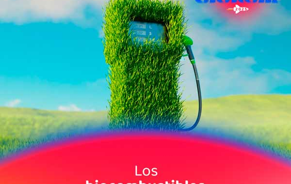 LOS BIOCOMBUSTIBLES