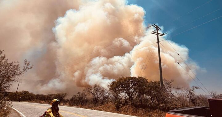 Buscan al responsable de provocar un incendio forestal en la comunidad de Mineral de la Luz