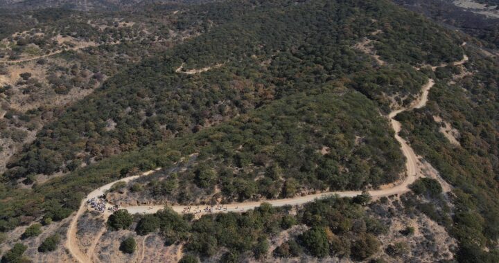 La dirección de Medio Ambiente, no ha recibido ninguna solicitud para enrejar el camino a Los Mexicanos