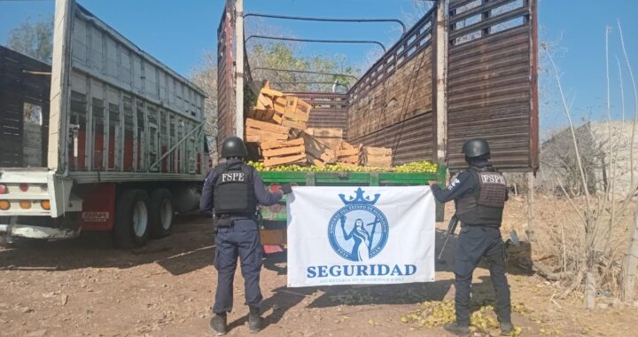 Aseguran dos tractocamiones  en Comonfort; uno cuenta con reporte vigente de robo