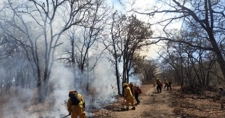 Controlan 50% del incendio forestal en la Sierra de los Agustinos; continúan labores 