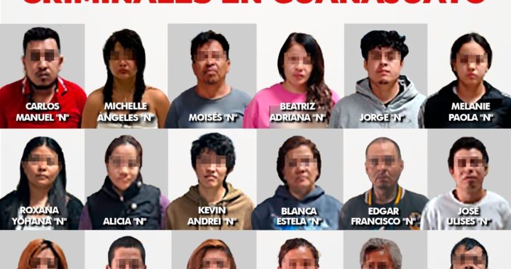 n operativo estratégico, derriban células criminales en León, Salvatierra y la capital