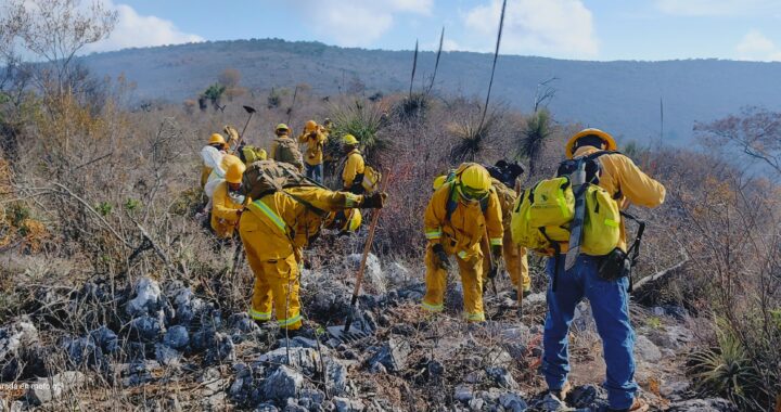 Extinguen incendio forestal en Amoles y se atienden dos siniestros más en la capital 