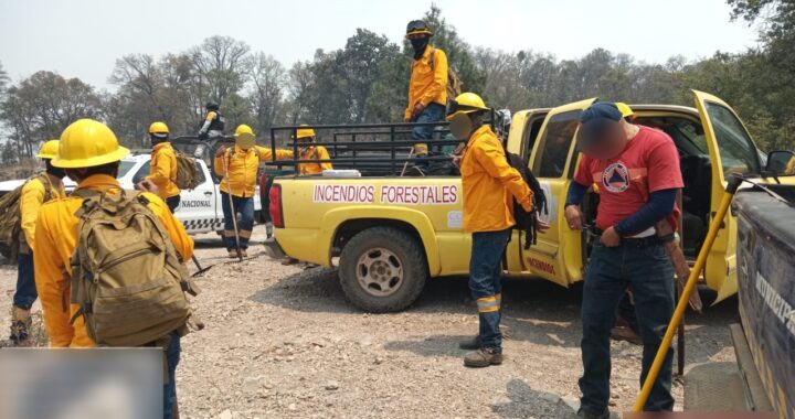 Incendio forestal en Sierra de Puruagua: reportan control de 95% en Guanajuato y de 50% en Michoacán