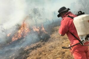 Van en aumento los incendios de pastizal, la mayoría son provocados: PC