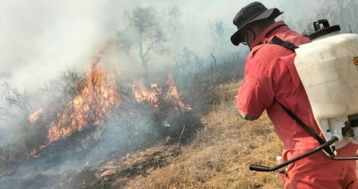Solicitan mayor capacitación para combatir los incendios forestales