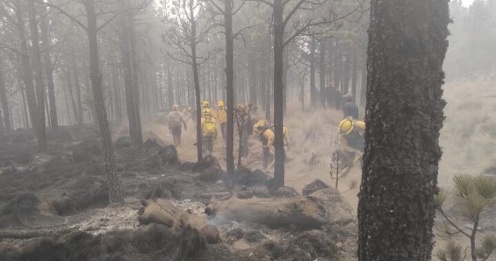 Fallece voluntario tras atención al incendio forestal en Jerécuaro