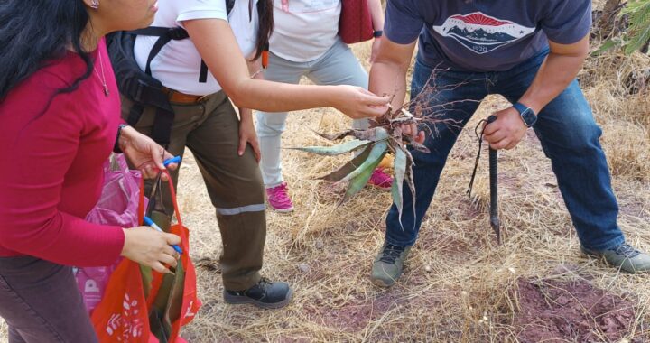 Académicas UG alertan sobre daños en vegetación nativa por calentamiento global 
