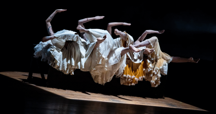 Operativo Kafka : danza entre el sueño, el rito y lo ancestral