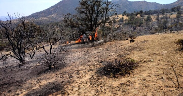 Continúa PC con las labores para sofocar el incendio forestal en el Cerro del Cuervo