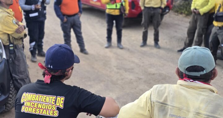 Sofocan incendio forestal en el Cerro del Cuervo tras 4 días intensos de trabajos
