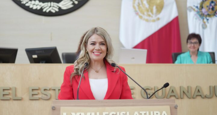 Propone PAN crear la Ley de Protección de la maternidad y la primera infancia