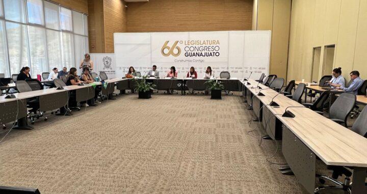 Autoridades estatales de Guanajuato desaíran análisis para la despenalización del aborto