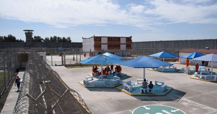 “Donde cabe uno, caben todos”: una historia de identidad de género