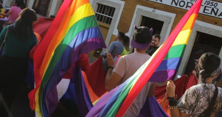 No reconocer matrimonio igualitario, sería violatorio de los derechos humanos