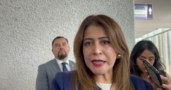Analiza procuradora de los Derechos Humanos, denunciar a Mauricio Trejo, por Violencia Política en Razón de Género