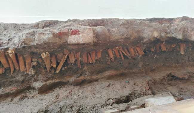 SALVAMENTO ARQUEOLÓGICO RECUPERA, EN TIESTOS Y RESTOS MATERIALES, 500 AÑOS DE HISTORIA VERACRUZANA