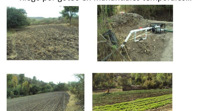 El campo necesita gente, jóvenes que incursionen en políticas y decisiones ambientales, señala investigador UG