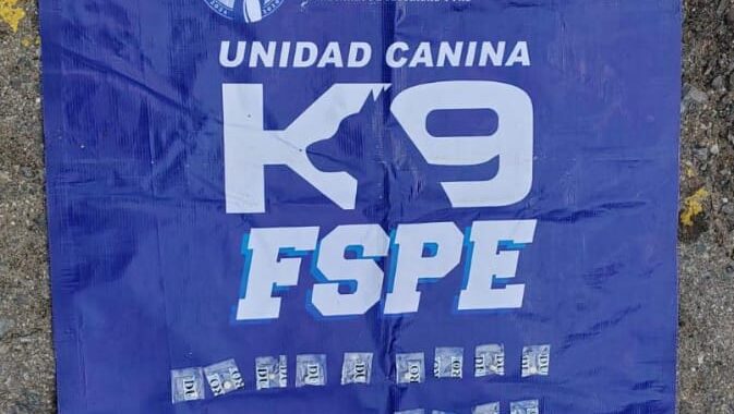 Binomio canino Orkan detecta más de 300 dosis de supuesta droga en León