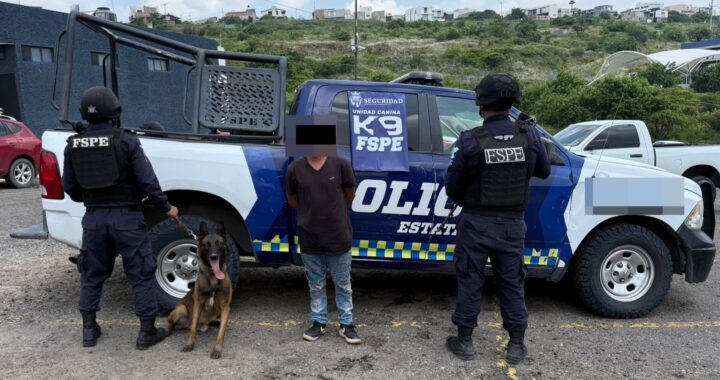 Binomio canino detecta más de 200 dosis de supuesta droga durante operativo en León