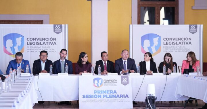 La prevención es apuesta a largo plazo: Erandi Bermúdez