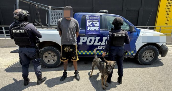 Detienen a joven armado y con presuntas drogas en León con apoyo del binomio canino «Cessy»