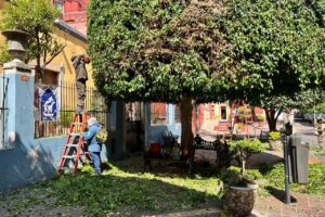 Se coordinan autoridades para reparar banquetas, parques y jardines de la capital