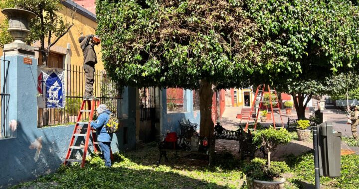 Se coordinan autoridades para reparar banquetas, parques y jardines de la capital