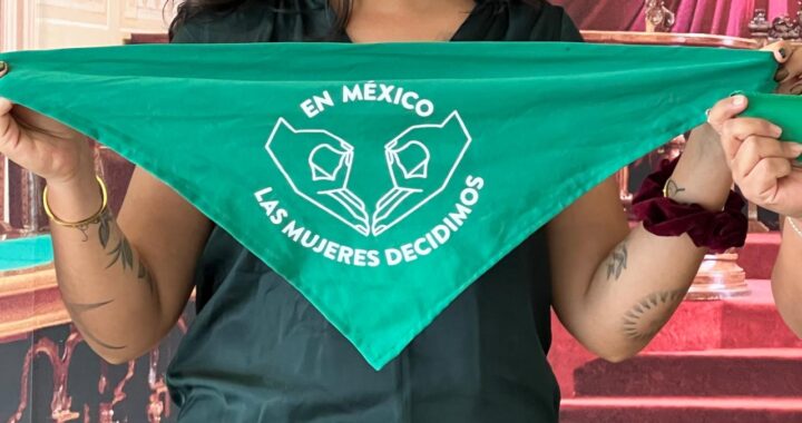 Finalmente es el Congreso quien decidirá legislar o no la  despenalización del aborto