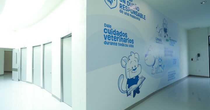 León estrena primer hospital público veterinario con precios accesibles y servicio 24 horas