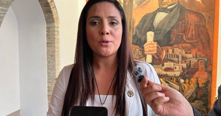 Poco puede hacer la CODE ante violencia en espacios deportivos particulares