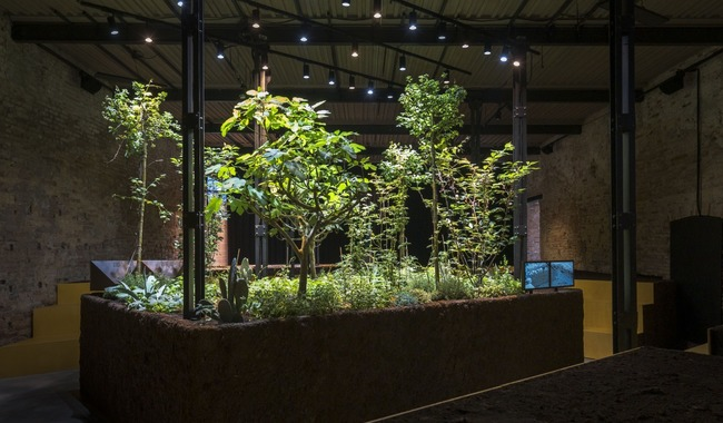 CHINAMPA VENETA: DIÁLOGO ENTRE ARQUITECTURA, ECOLOGÍA Y TERRITORIO EN EL PALACIO DE BELLAS ARTES