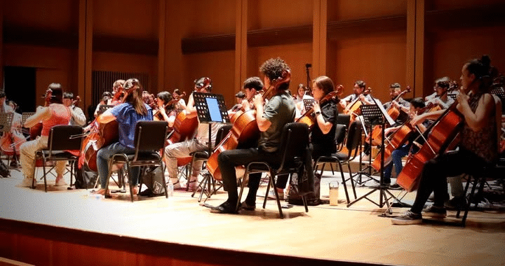 FESTIVAL INTERNACIONAL DE VIOLONCELLO DE LEON
