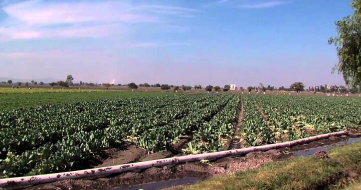FGR tiene bajo custodia 20 hectáreas del Parque Xonotli