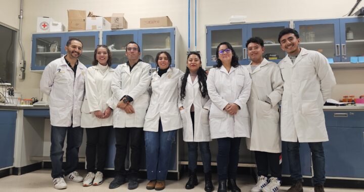 Investigadores UG estudian plantas medicinales mexicanas con potencial para combatir el Parkinson