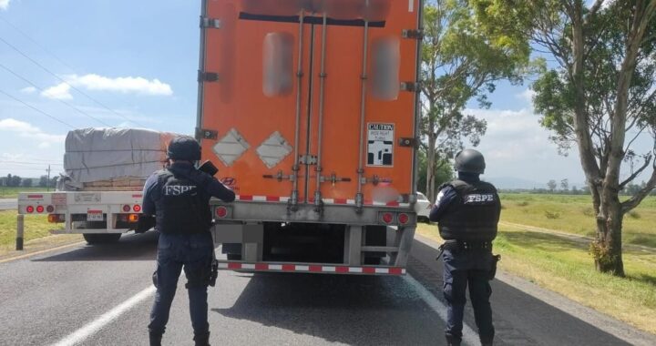 Aseguran tractocamión y recupera 17 toneladas de alimento para mascotas