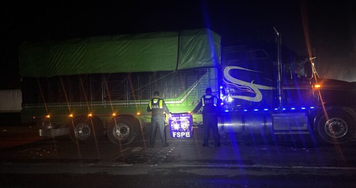 Detienen a presunto ladrón de transporte de carga con 17 toneladas de naranjas en San Felipe