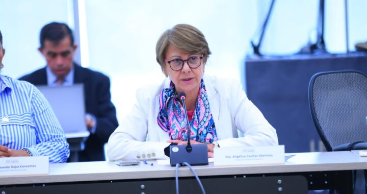 Afirma diputada que acueducto Solís-León no afecta a la cuenca del Lago Chapala