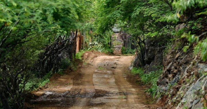 Entrega administración municipal 5 toneladas de cemento a las comunidades para pavimentarlas